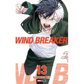 Wind Breaker 13